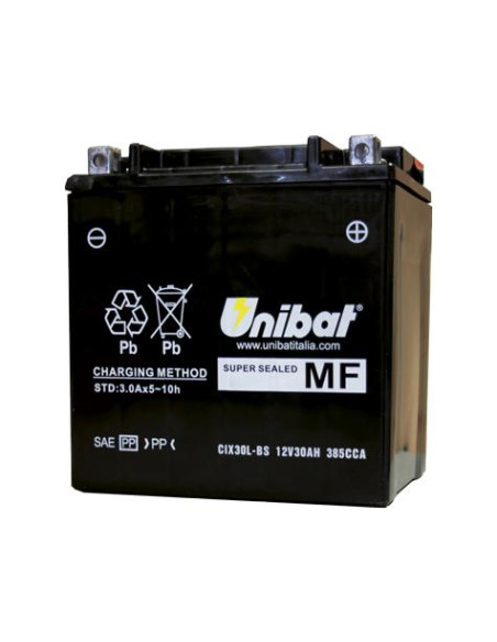 UniBat MF 12V- 30AH, 166/126/175