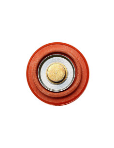 DIAPHRAGM SERVICE REPLACEMENT FP