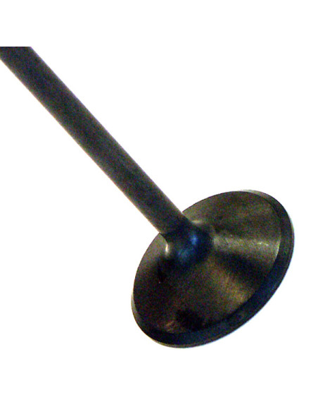 Valve Intake Yamaha FJ1100 - F