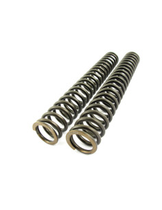 FORK LOWERING SPRING KIT