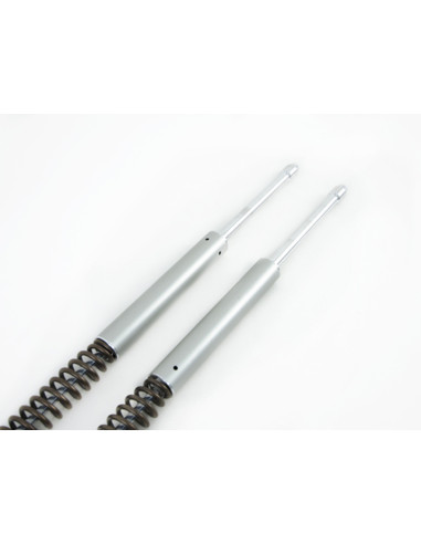 Harley-Davidson Touring FLHx/FLT*B*