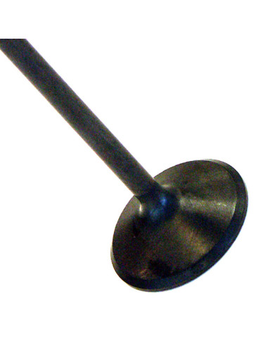 Valve Exhaust Yamaha FJ1100 - 