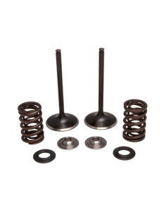 INSUGSVENTILKIT CRF450 02-08