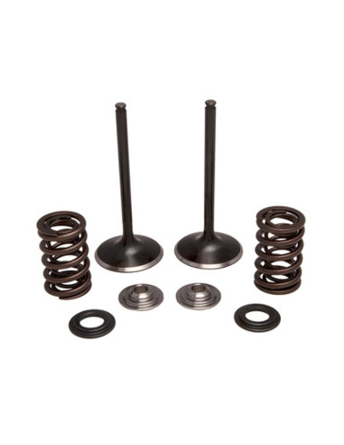 INSUGSVENTILKIT CRF450 02-08