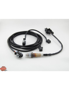 DWRT AFR SENSOR KIT 12'