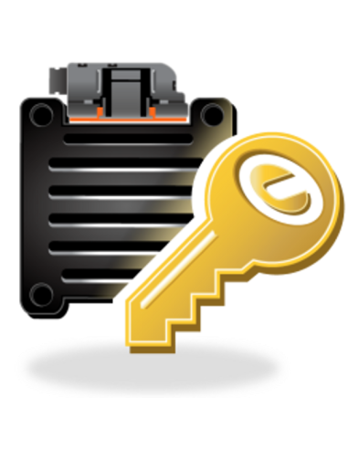 DYNOJET POWER VISION TUNING LICENSE