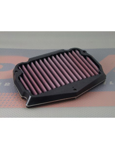 DNA FILTERS AP RSV4 09-11