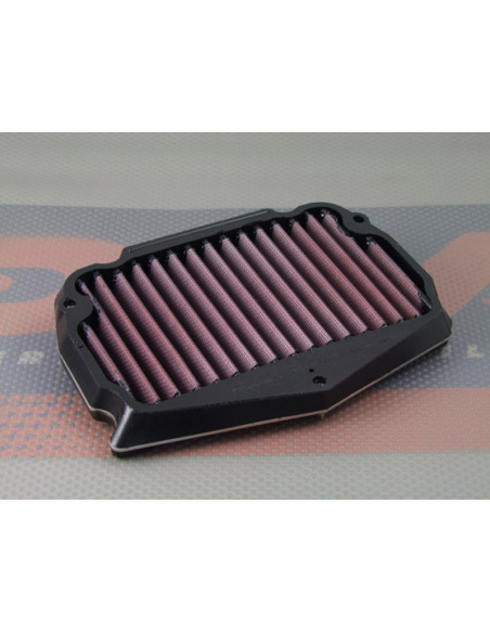 DNA FILTERS AP RSV4 09-11