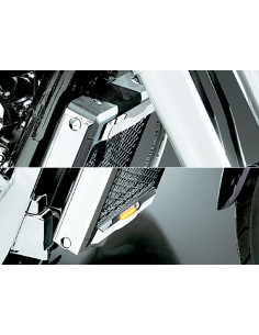 *L.E.D. RADIATOR TRIM