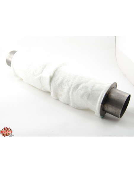 INSATS 2-1 CLASSIC RACE