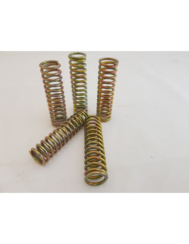 CLUTCH SPRING SET ZX12R 00-05