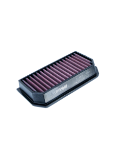 DNA FILTERS AP RS 660 20-21