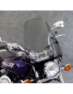 WS, STREET SHIELD TINT 25mm Q-CLAMP