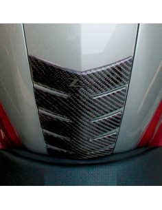 CARBON F TANK PROT R1200S