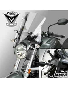 WS,VSTREEM TOUR L-TINT R1200R 11-14