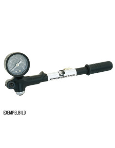 *PROGRESSIVE GA MTED PUMP 100 PSI