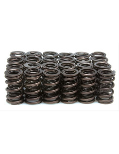 VENTILFJÄDERSET .500 CBX1000 6 CYL