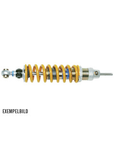 Triumph Thruxton / Scrambler