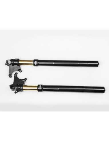 Front fork R&T Ducati Diavel