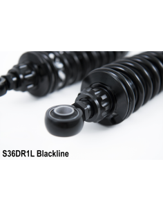 Triumph Thruxton / Scrambler