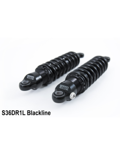 Triumph Thruxton / Scrambler 2