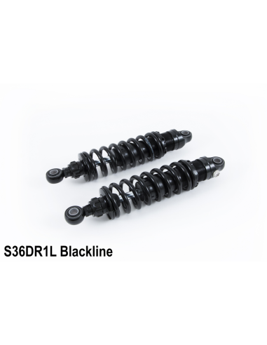 Triumph Thruxton / Scrambler