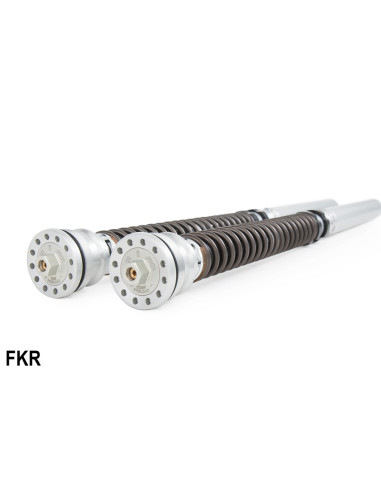 *FKR 100 RSV4 FACTORY 10-17