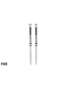 *FKR 100 RSV4 FACTORY 10-17 2