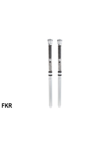 *FKR 100 RSV4 FACTORY 10-17