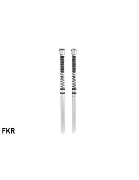*FKR 100 RSV4 FACTORY 10-17