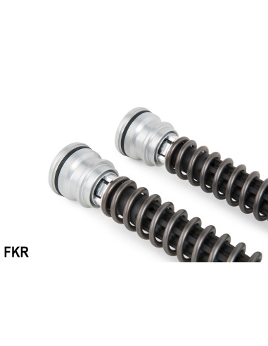 *FKR 100 RSV4 FACTORY 10-17