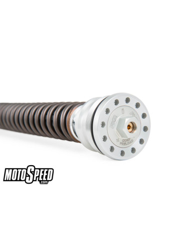 *FKR 100 RSV4 FACTORY 10-17