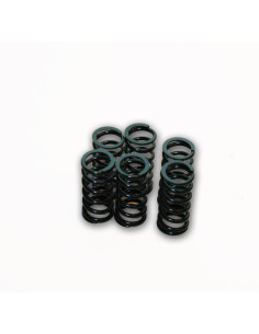 CLUTCH SPRING SET V-ROD 08-