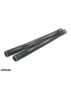 FORK SPRING KIT HAREY FLHFLT 14-