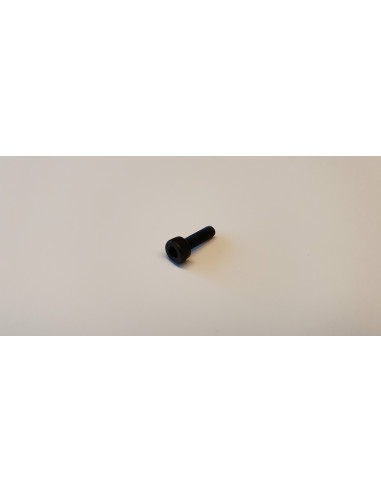 SKRUV TROTTEL RETAINER INSEX HSR