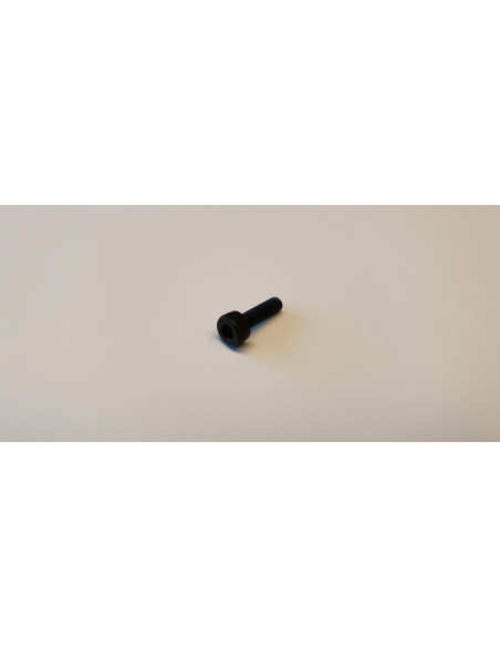 SKRUV TROTTEL RETAINER INSEX HSR