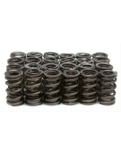 VENTILFJÄDERSET 4-VALV GSX1100 80-7